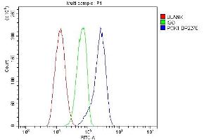 Flow Cytometry analysis of HL-60 cells using anti-PCK1/PEPC antibody (ABIN7599502). (PCK1 Antikörper  (AA 1-622))