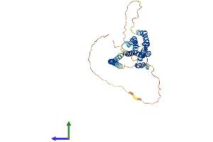 Protein Structure (PS) image for F-Box Protein 28 (FBXO28) (AA 1-368) protein (His tag) (ABIN7547695)