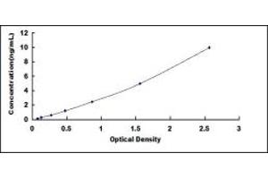 Typical standard curve (HIPK2 ELISA Kit)