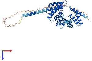 FAM82B Protein (AA 1-314) (His tag)
