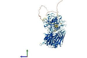 Protein Structure (PS) image for Transmembrane Protease, Serine 7 (TMPRSS7) (AA 1-829) protein (His tag) (ABIN7558681)