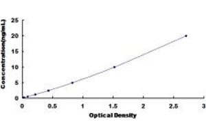 Typical standard curve (STH ELISA Kit)