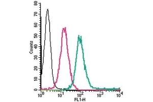 Cell surface detection of ADORA2A in live intact human THP-1 monocytic leukemia cells: (black line) Cells.