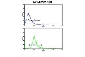 Flow cytometric analysis of NCI- cells using DCXR Antibody (Center)(bottom histogram) compared to a negative control cell (top histogram). (DCXR Antikörper  (AA 79-106))