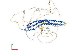 Protein Structure (PS) image for Metastasis Suppressor 1 (MTSS1) (AA 1-759) protein (His tag) (ABIN7559681)