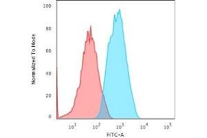 Flow Cytometric Analysis of Human HeLa cells using Smooth Muscle Actin Mouse Monoclonal Antibody (1A4) followed by Goat anti-Mouse IgG-CF488 (Blue); Isotype control (Red). (Smooth Muscle Actin Antikörper  (N-Term))