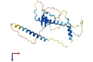 LIN37 Protein (AA 1-246) (His tag)