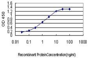 Detection limit for recombinant GST tagged PDK3 is approximately 0. (PDK3 Antikörper  (AA 174-263))