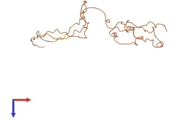 KRTAP5-8 Protein (AA 1-187) (His tag)