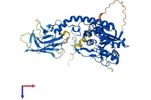 B3GALNT2 Protein (AA 1-500) (His tag)