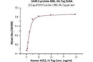 Immobilized SARS S protein RBD, His Tag (ABIN6952627) at 2 μg/mL (100 μL/well) can bind Human ACE2, Fc Tag (ABIN6952465) with a linear range of 0.