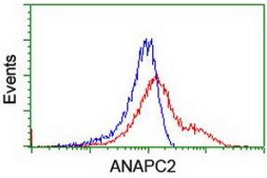 Flow Cytometry (FACS) image for anti-Anaphase Promoting Complex Subunit 2 (ANAPC2) antibody (ABIN1496635) (ANAPC2 Antikörper)