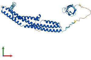 Protein Structure (PS) image for Endophilin-A3 (SH3GL3) (AA 1-347) protein (His tag) (ABIN7545976)