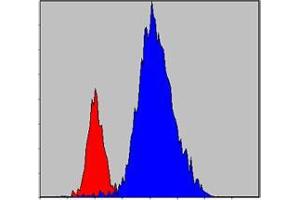 Flow cytometric analysis of Hela cells using JAK3 mouse mAb (blue) and negative control (red). (JAK3 Antikörper)