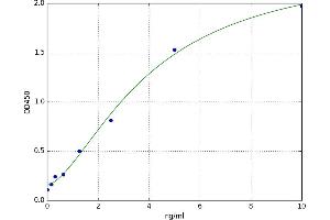 Mediterranean Fever (MEFV) ELISA Kit