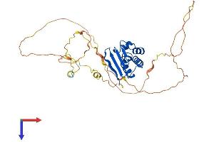 TOB2 Protein (AA 1-345) (His tag)
