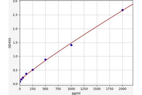 NPTN ELISA Kit