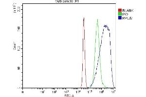 Flow Cytometry analysis of K562 cells using anti-RPL32 antibody (ABIN7602916). (RPL32 Antikörper  (C-Term))