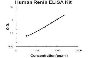 Human Renin PicoKine ELISA Kit standard curve