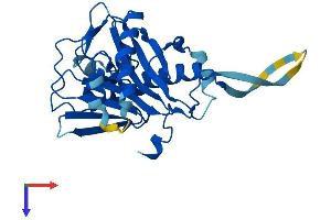 RSPH9 Protein (AA 1-276) (His tag)