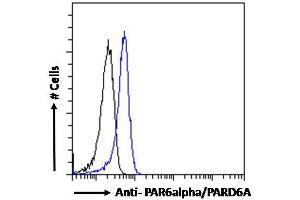 ABIN185152 Flow cytometric analysis of paraformaldehyde fixed Jurkat cells (blue line), permeabilized with 0. (PARD6A Antikörper  (C-Term))
