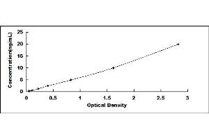 Typical standard curve (PRSS33 ELISA Kit)