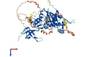 KAT5 Protein (AA 1-513) (His tag)