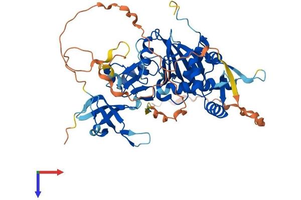 KAT5 Protein (AA 1-513) (His tag)