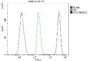 Flow Cytometry analysis of K562 cells using anti-RCC1 antibody (ABIN7600024).