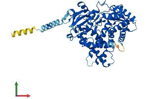 AlphaFold protein structure predicition of Mouse Recombinant Cyp2j5 Protein, UniprotID O54749