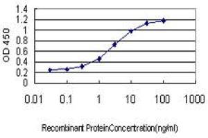 Detection limit for recombinant GST tagged ZNF345 is approximately 0. (ZNF345 Antikörper  (AA 1-111))