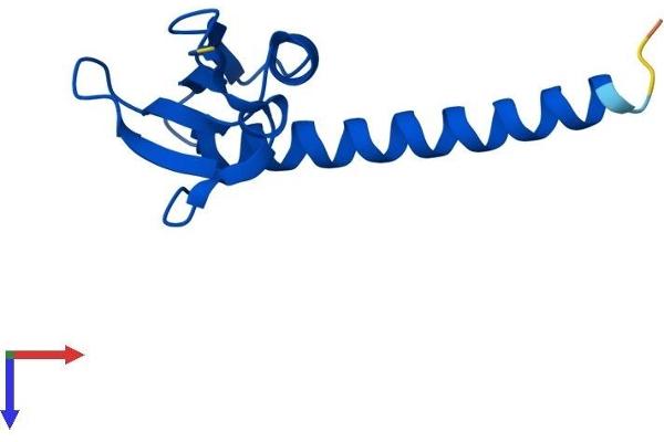 POLR2J Protein (AA 1-117) (His tag)