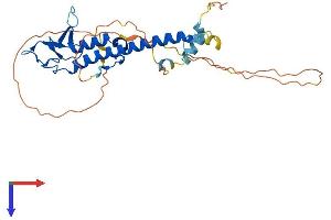 RPH3AL Protein (AA 1-302) (His tag)
