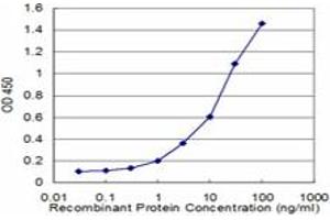 Detection limit for recombinant GST tagged CES2 is approximately 1ng/ml as a capture antibody. (CES2 Antikörper  (AA 514-621))