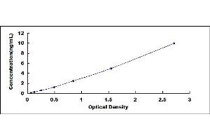 Typical standard curve (CX3CL1 ELISA Kit)