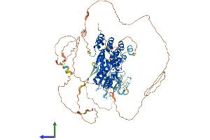 Protein Structure (PS) image for BRCA1 Associated RING Domain 1 (BARD1) (AA 1-777) protein (His tag) (ABIN7552655)