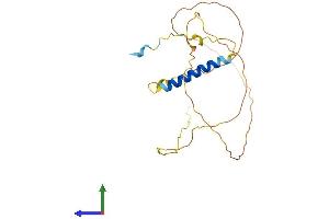 Protein Structure (PS) image for Growth Associated Protein 43 (GAP43) (AA 1-238) protein (His tag) (ABIN7549785)