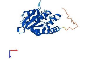 APOBEC3H Protein (AA 1-200) (His tag)