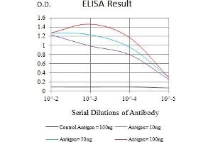 Black line: Control Antigen (100 ng),Purple line: Antigen (10 ng), Blue line: Antigen (50 ng), Red line:Antigen (100 ng) (TIM3 Antikörper  (AA 224-301))