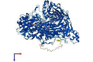 AOX1 Protein (AA 1-1333) (His tag)
