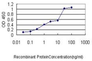 Detection limit for recombinant GST tagged CBX3 is approximately 0. (CBX3 Antikörper  (AA 1-183))