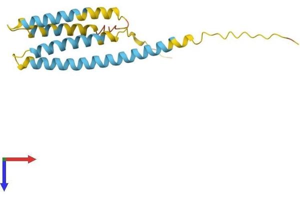 CMTM1 Protein (AA 1-169) (His tag)