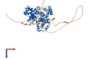 TBC1D10A Protein (AA 1-500) (His tag)