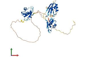 Protein Structure (PS) image for TIA1 Cytotoxic Granule-Associated RNA Binding Protein (TIA1) (AA 1-386) protein (His tag) (ABIN7544319)