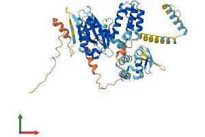 AlphaFold protein structure predicition of Human Recombinant ZSWIM1 Protein, UniprotID Q9BR11