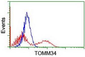 HEK293T cells transfected with either RC201083 overexpress plasmid (Red) or empty vector control plasmid (Blue) were immunostained by anti-TOMM34 antibody (ABIN2454766), and then analyzed by flow cytometry. (TOMM34 Antikörper)