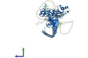 Protein Structure (PS) image for ArfGAP with Coiled-Coil, Ankyrin Repeat and PH Domains 1 (ACAP1) (AA 1-740) protein (His tag) (ABIN7551800)