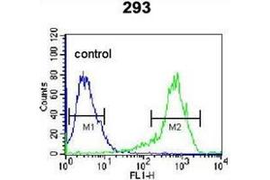 Flow cytometric analysis of 293 cells using KARS Antibody (N-term) Cat.