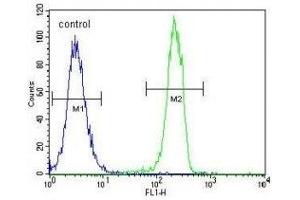 CT45A1 antibody flow cytometric analysis of K562 cells (green) compared to a negative control cell (blue). (CT45A1 Antikörper  (AA 1-30))