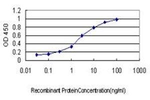 Detection limit for recombinant GST tagged TRAPPC4 is approximately 0.